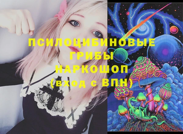 ешки Богородицк