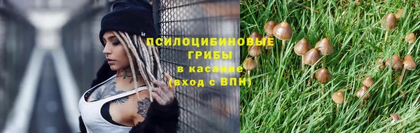 гашишное масло Богданович